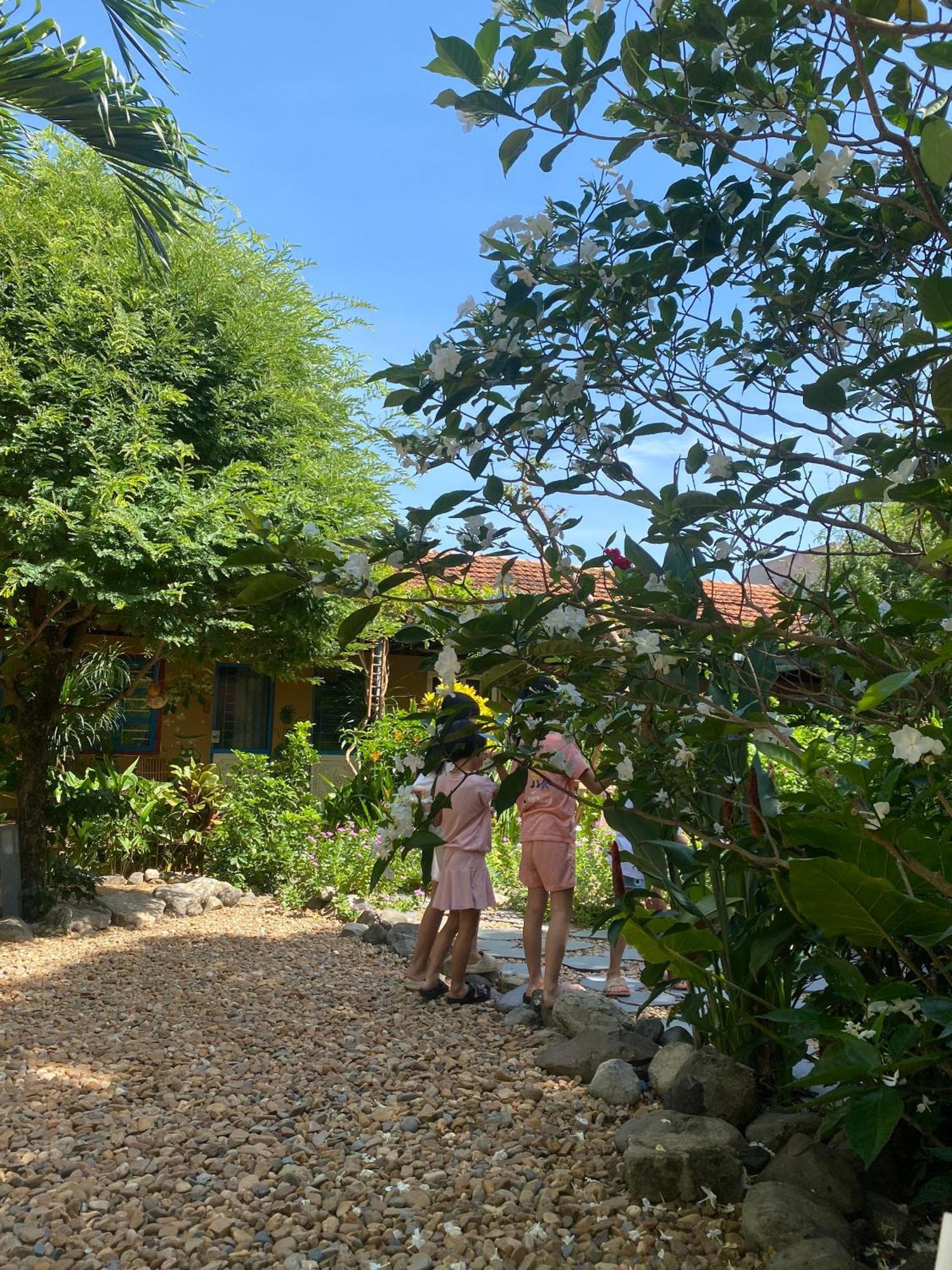 Yellow Farm Homestay Dong Tac Exteriér fotografie