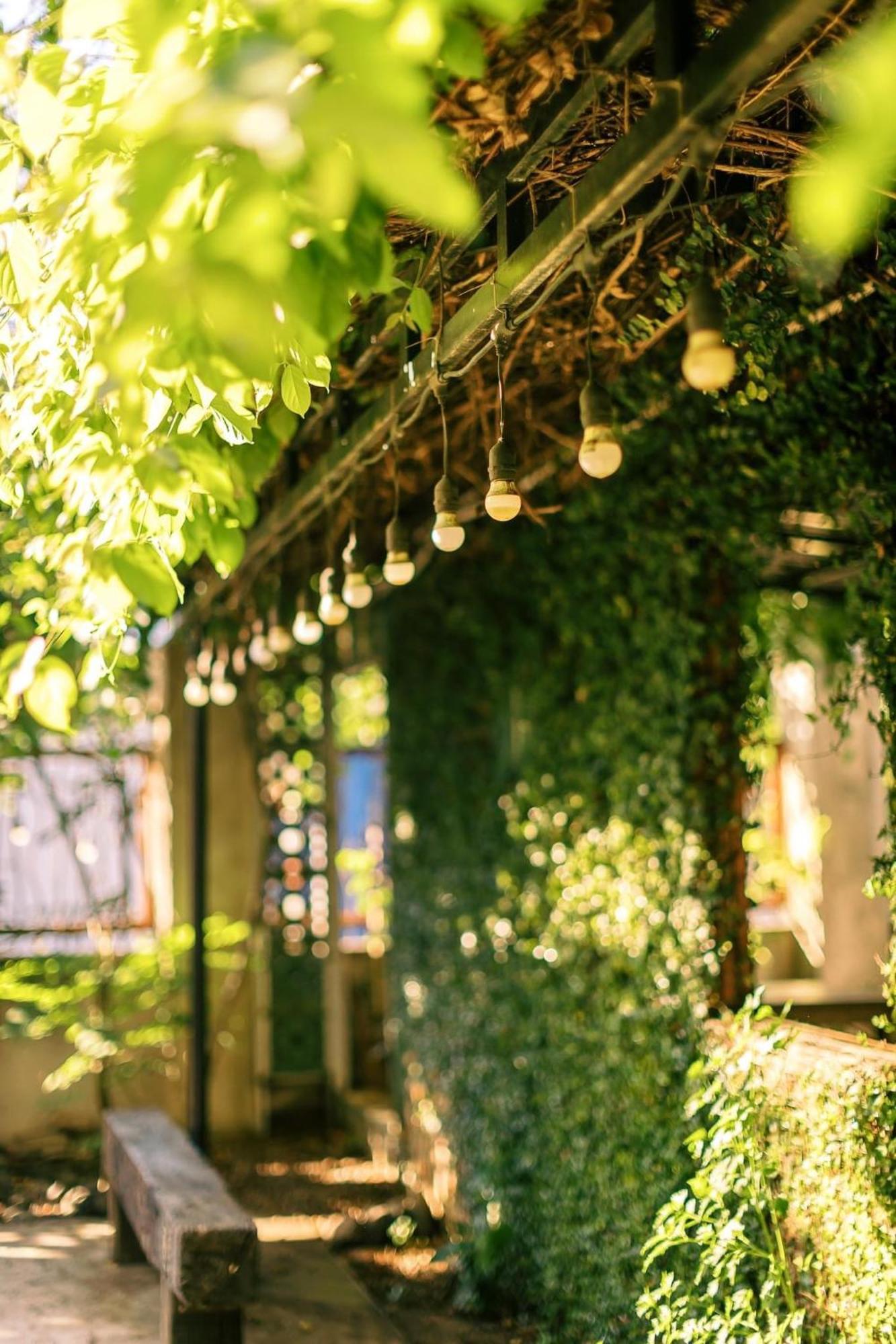 Yellow Farm Homestay Dong Tac Exteriér fotografie